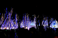 Ｘ’ｍａｓ　イルミネーション　さいたま新都心けやきひろば